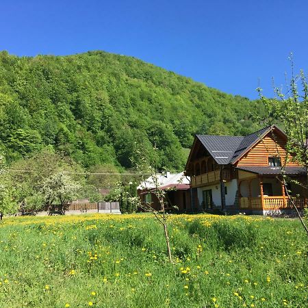 Casa Nova Βίλα Vişeu de Sus Εξωτερικό φωτογραφία