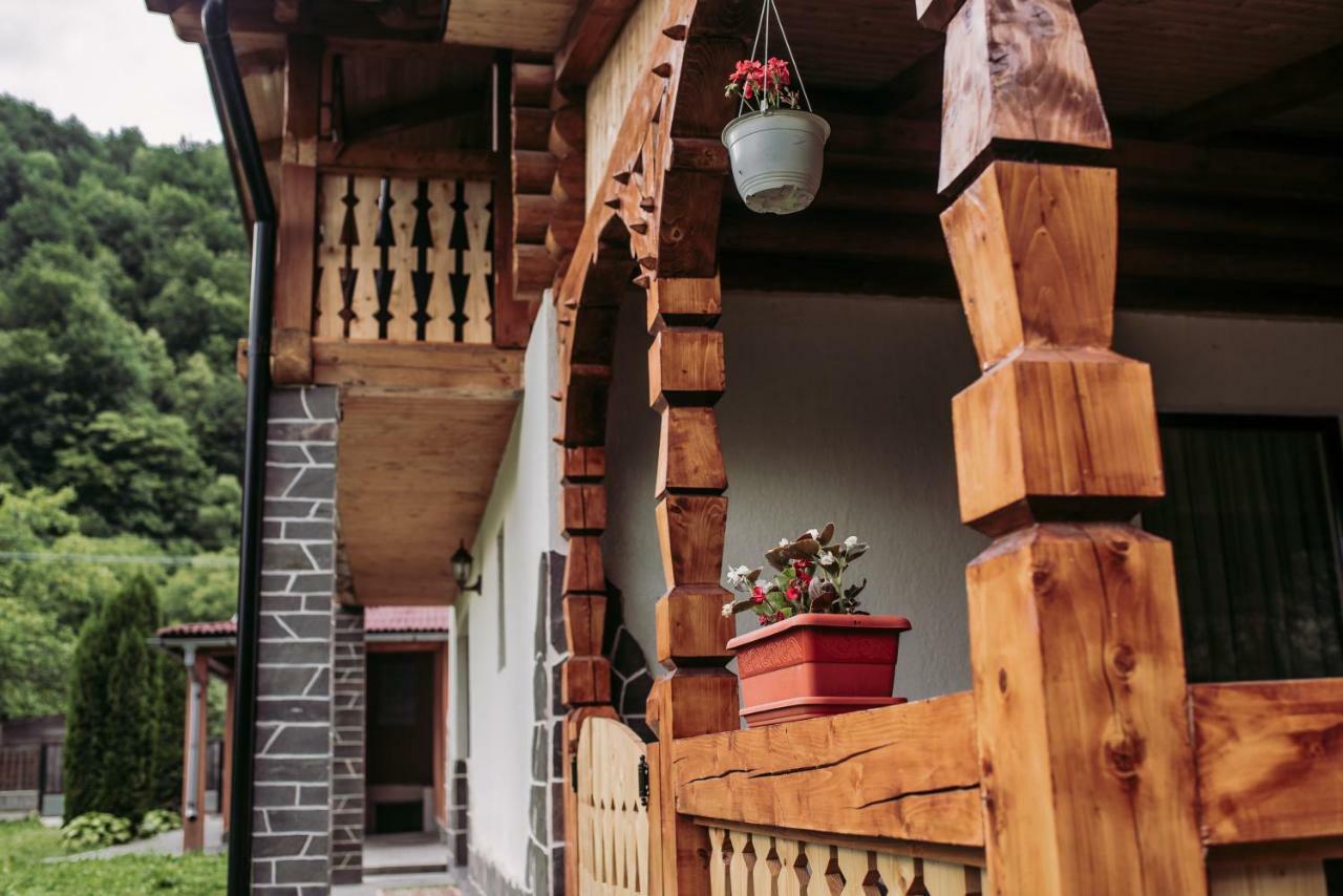 Casa Nova Βίλα Vişeu de Sus Εξωτερικό φωτογραφία