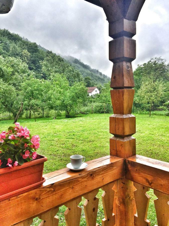 Casa Nova Βίλα Vişeu de Sus Εξωτερικό φωτογραφία