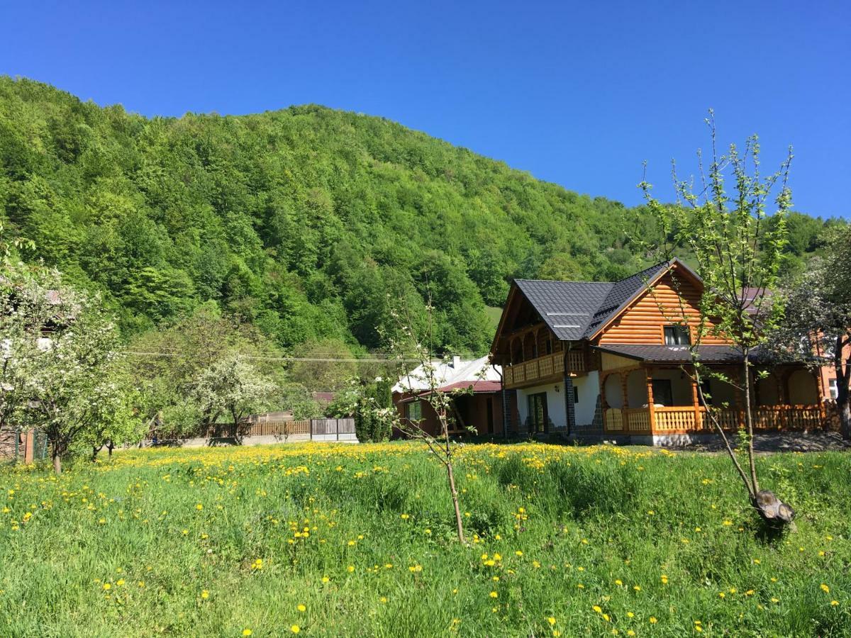 Casa Nova Βίλα Vişeu de Sus Εξωτερικό φωτογραφία