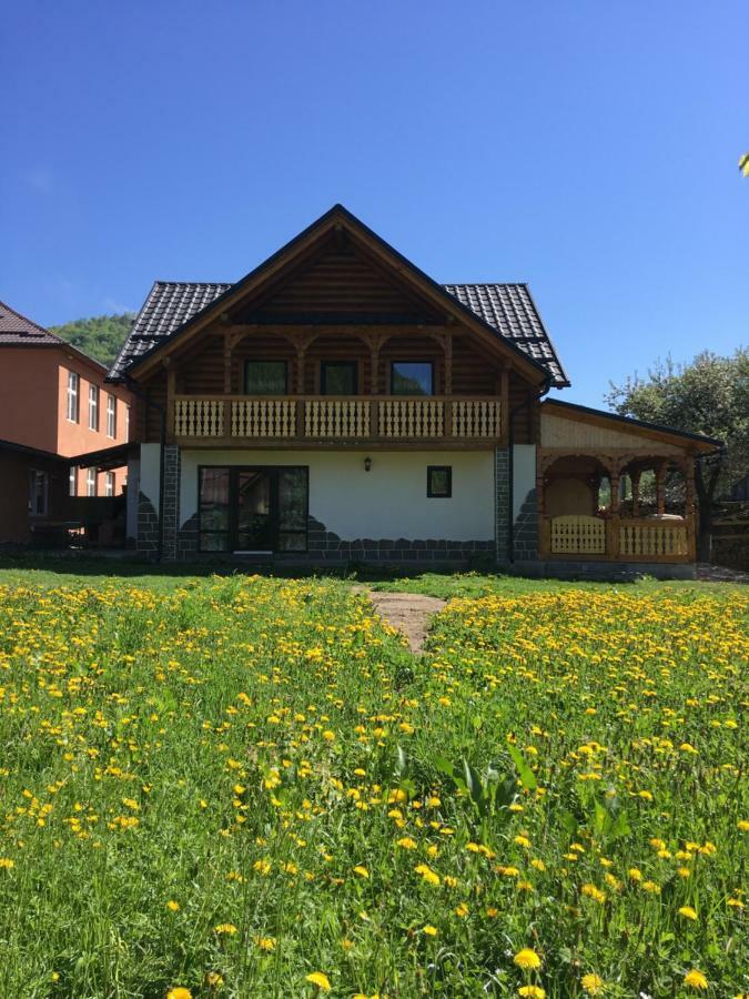 Casa Nova Βίλα Vişeu de Sus Εξωτερικό φωτογραφία
