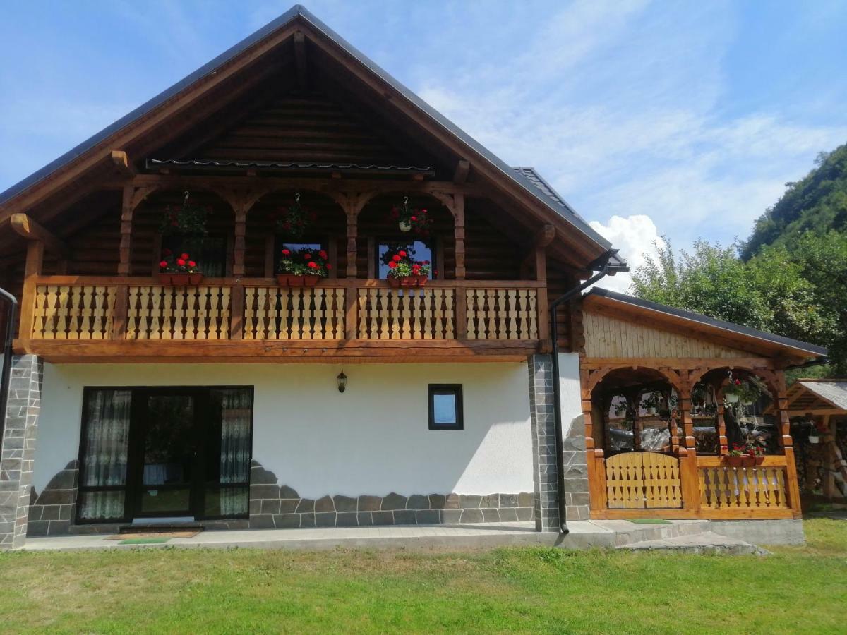 Casa Nova Βίλα Vişeu de Sus Εξωτερικό φωτογραφία